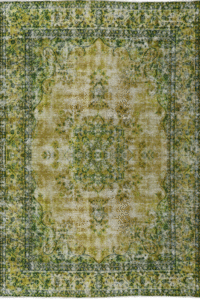 Untitled design (34)